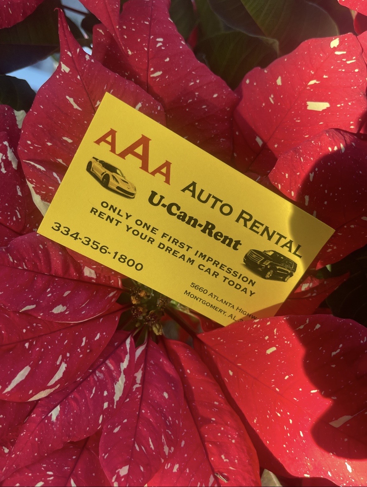 AAA Auto Rental/ UcanRent